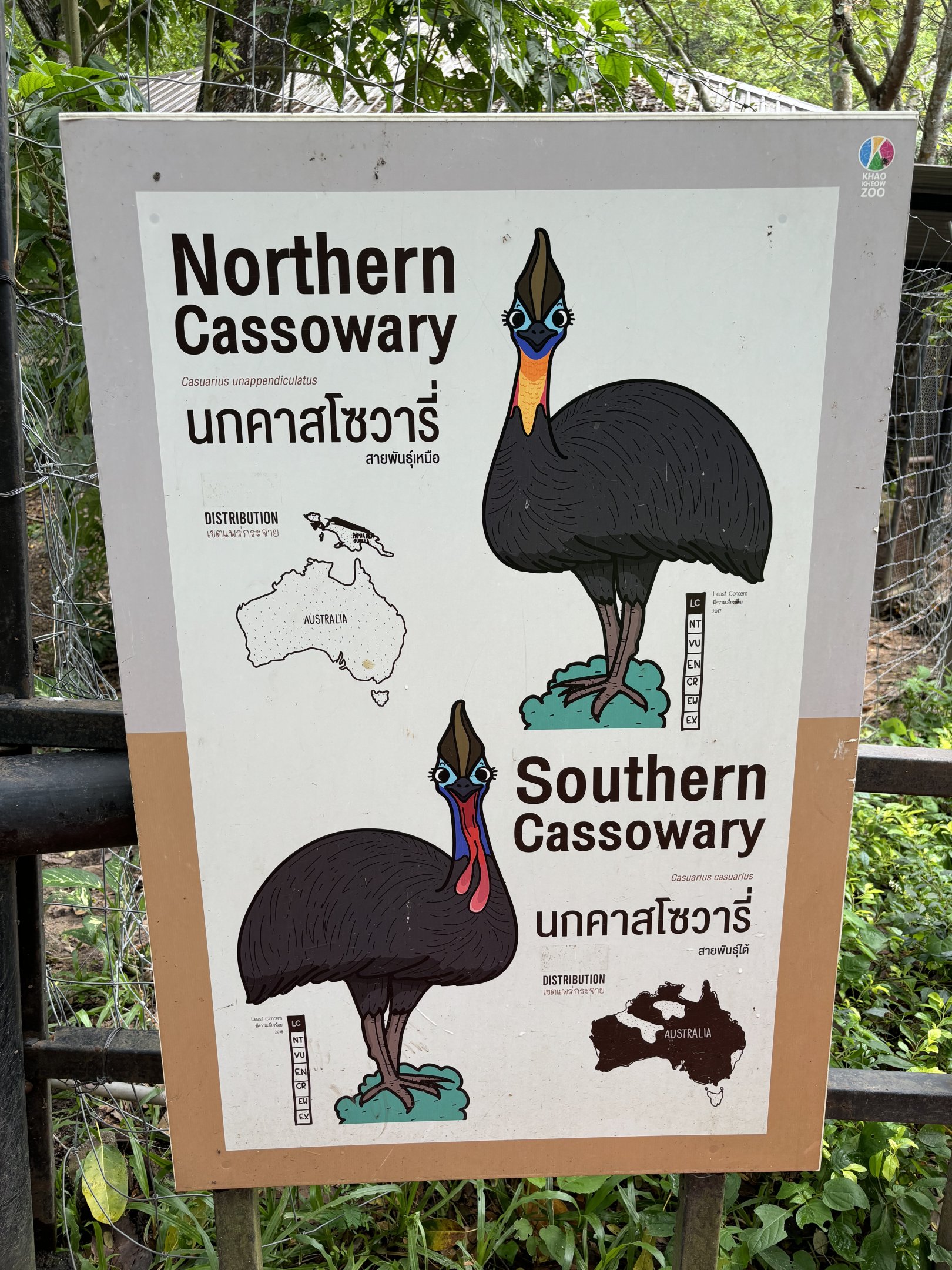 Cassowary Sign