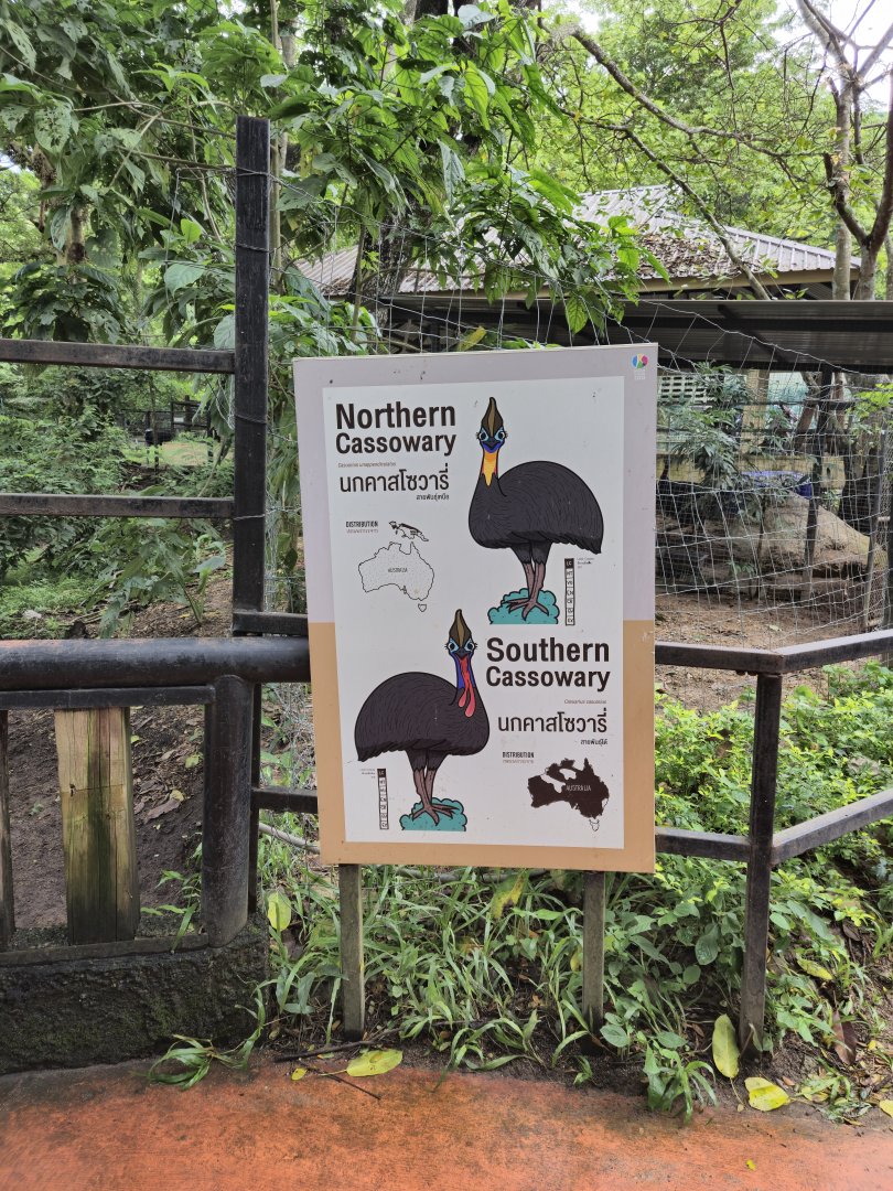 Cassowary sign
