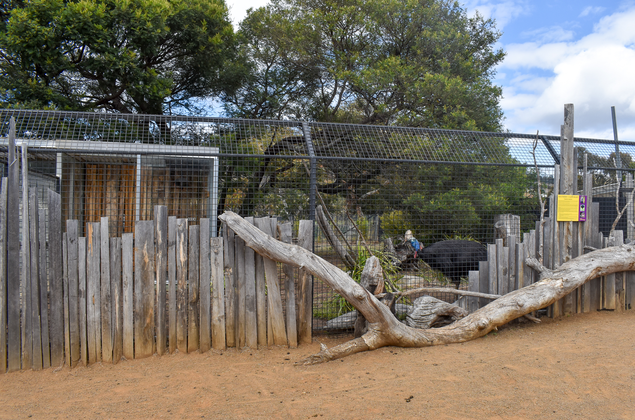 Cassowary/Tasmanian Pademelon enclosure