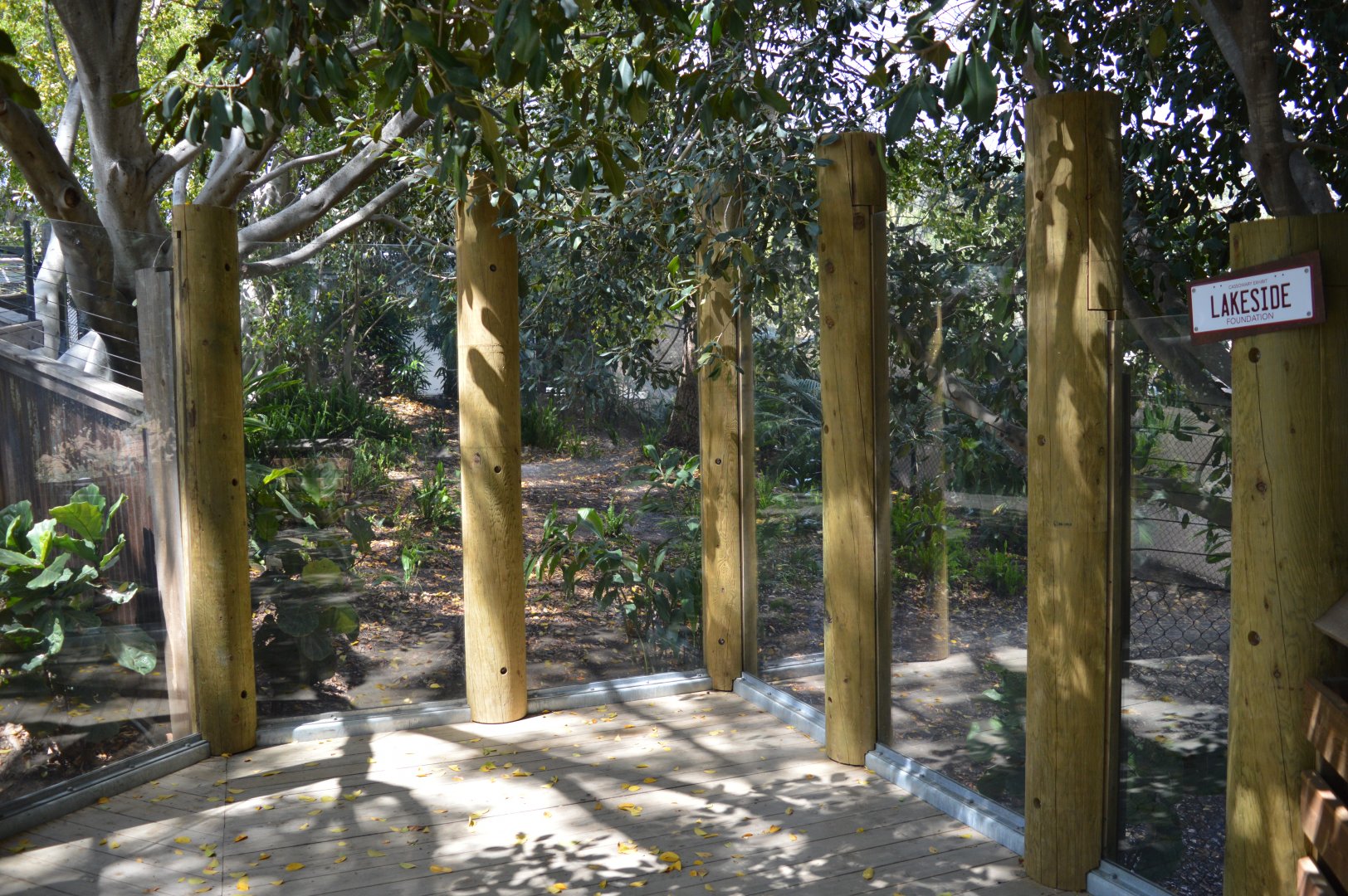 Cassowary Viewing Glass