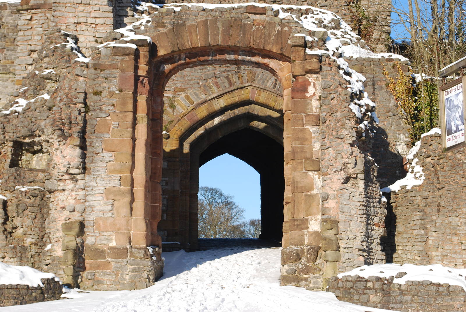 Castle and grounds 4