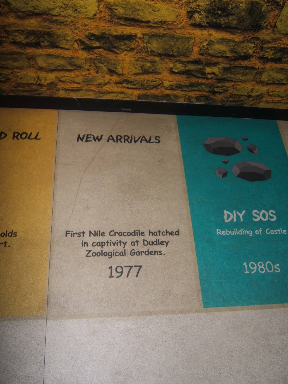 Castle Creatures indoor