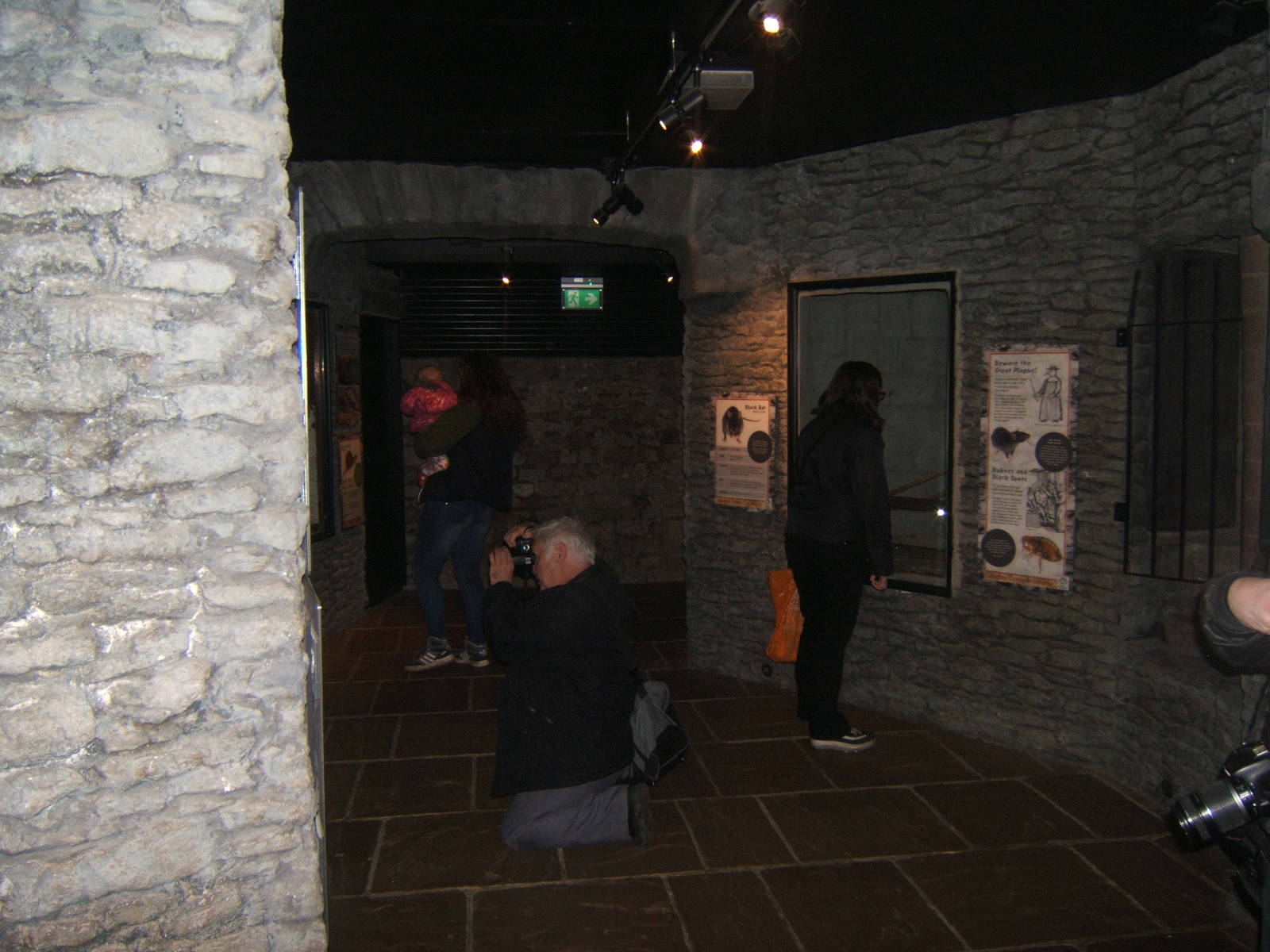 Castle Creatures indoor