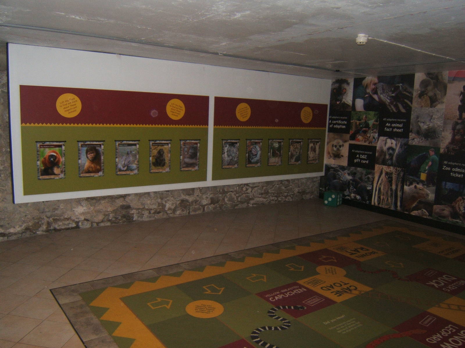 Castle Creatures indoor