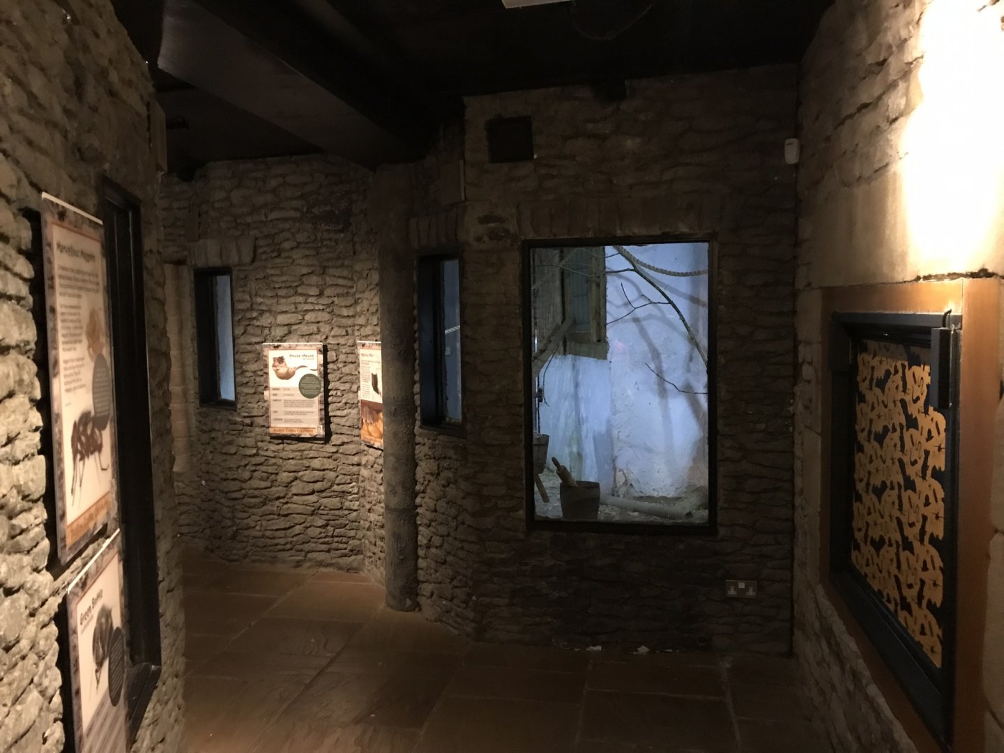 Castle Creatures - Roof/Black rat enclosure 230619