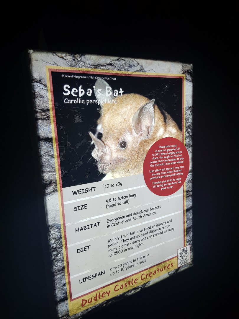 Castle Creatures Signage Example