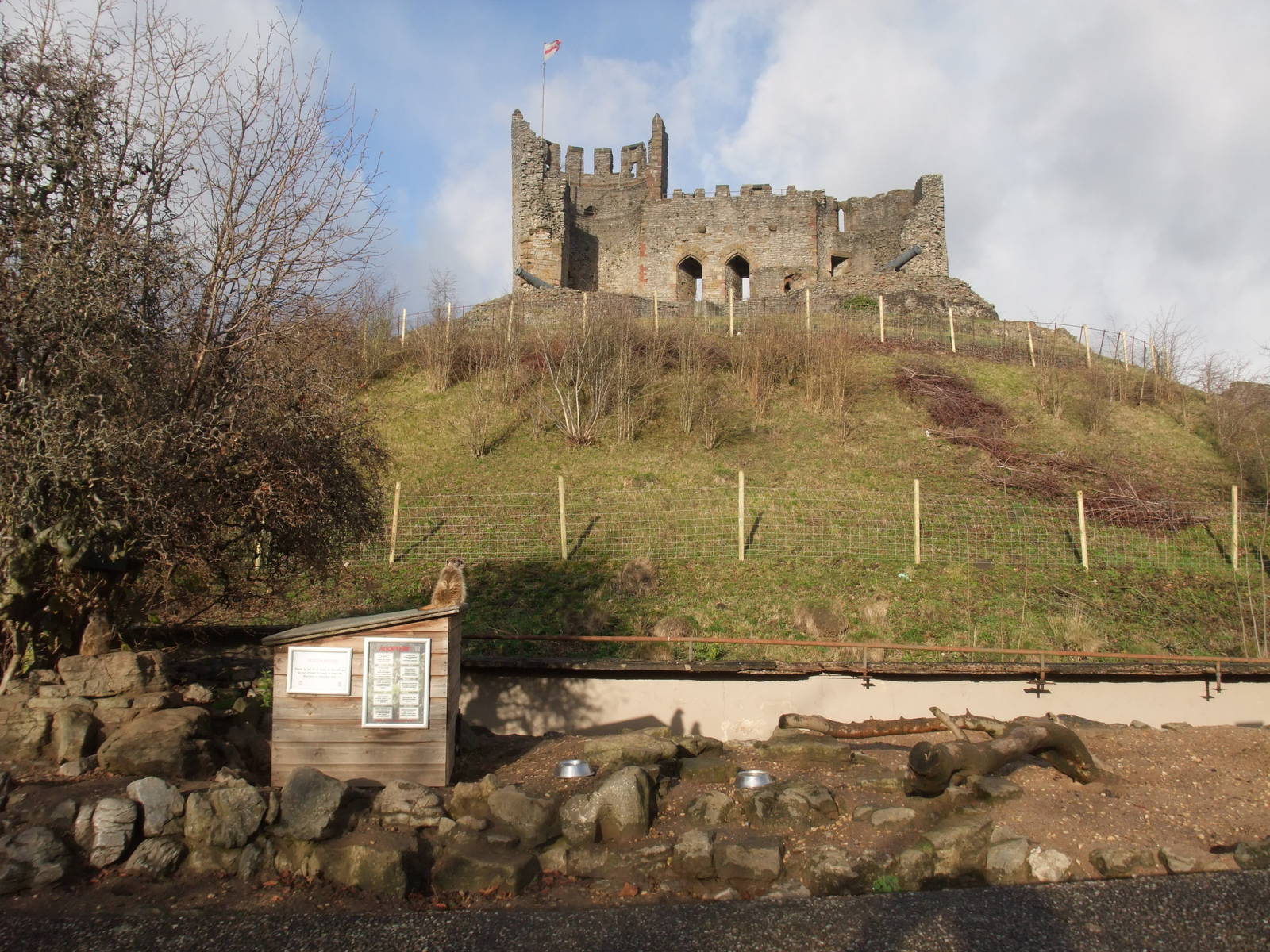 Castle View at Dudley, 18/12/11