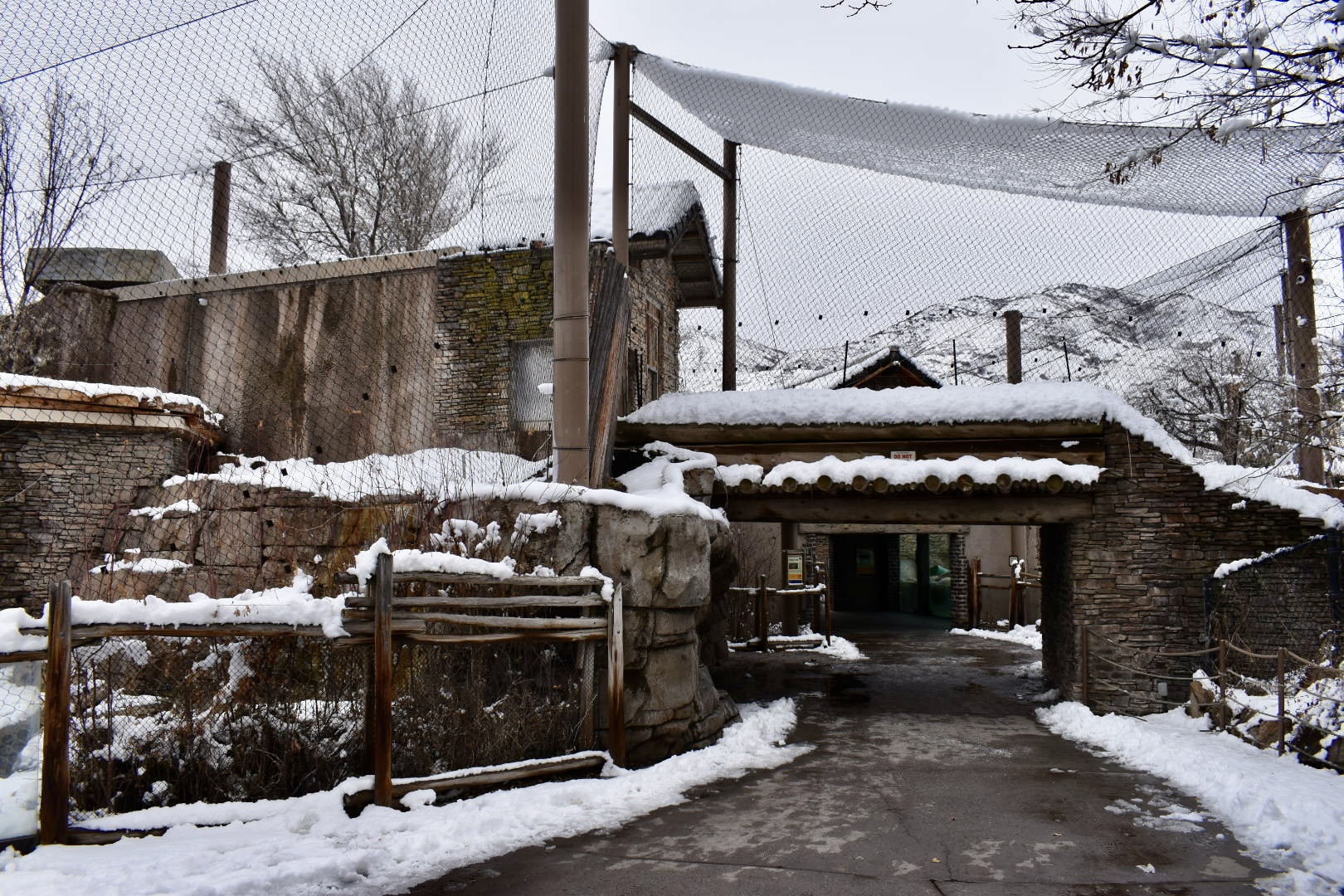 Cat Bridge - Asian Highlands