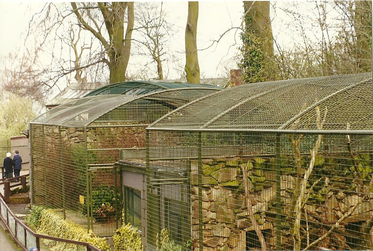 Cat cages 6th April 1998