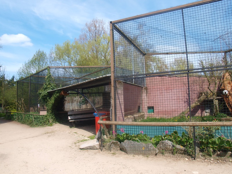 Cat cages and picnic area (April 19th, 2015)