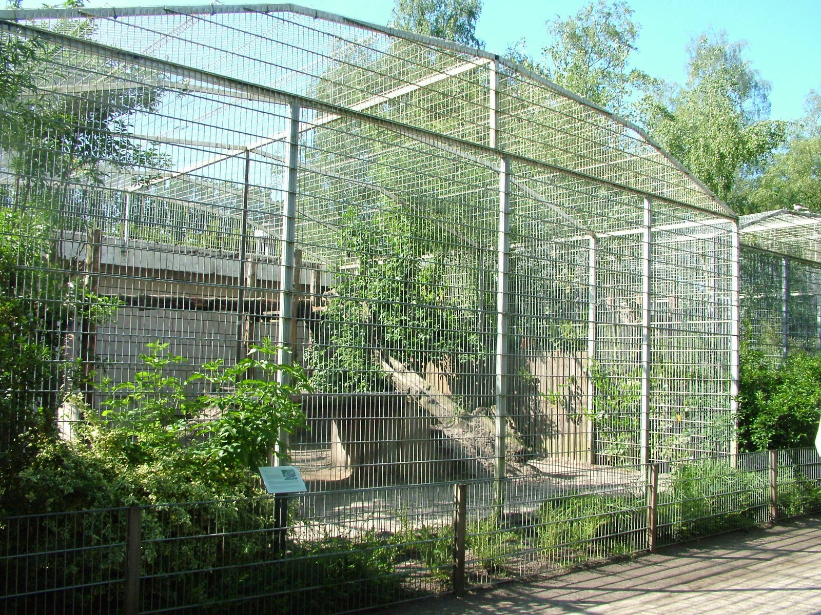 Cat cages at BestZoo 16/05/09