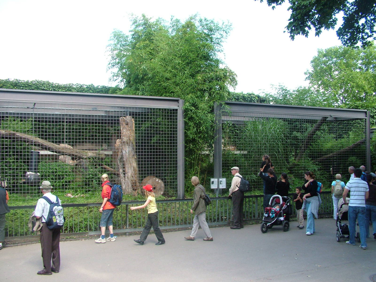 Cat Cages at Wilhelma, Stuttgart 02/09/10