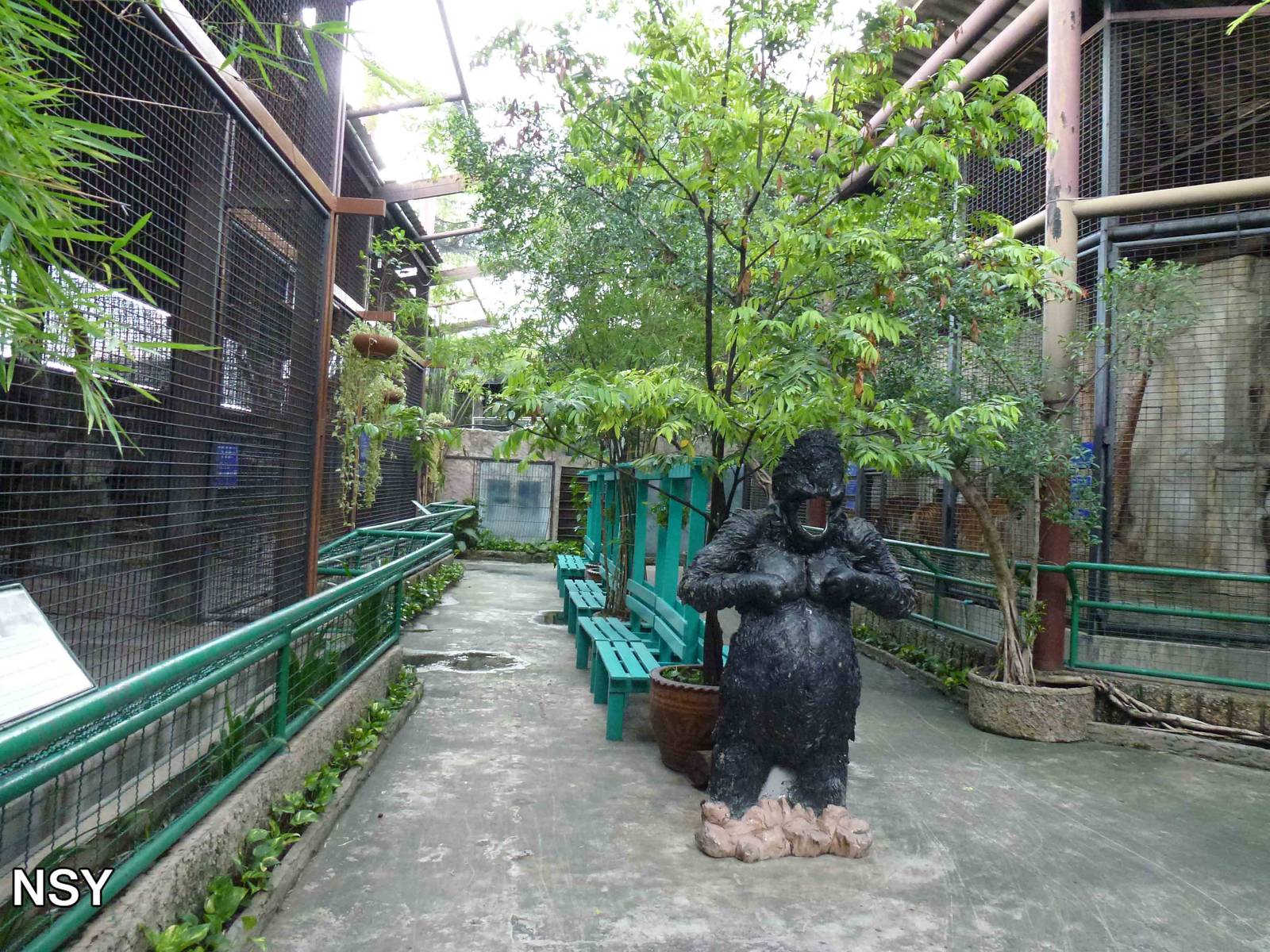 Cat cages, June 2013.