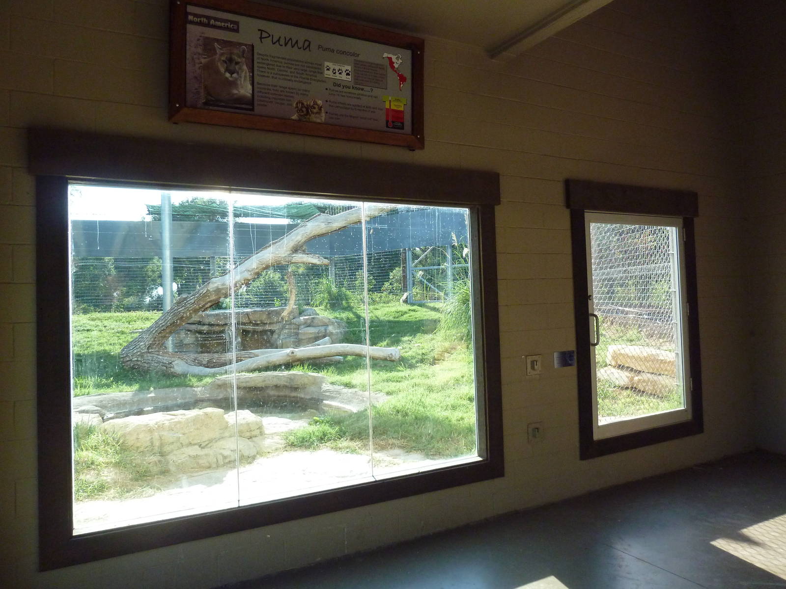 Cat Canyon - Cougar Exhibit