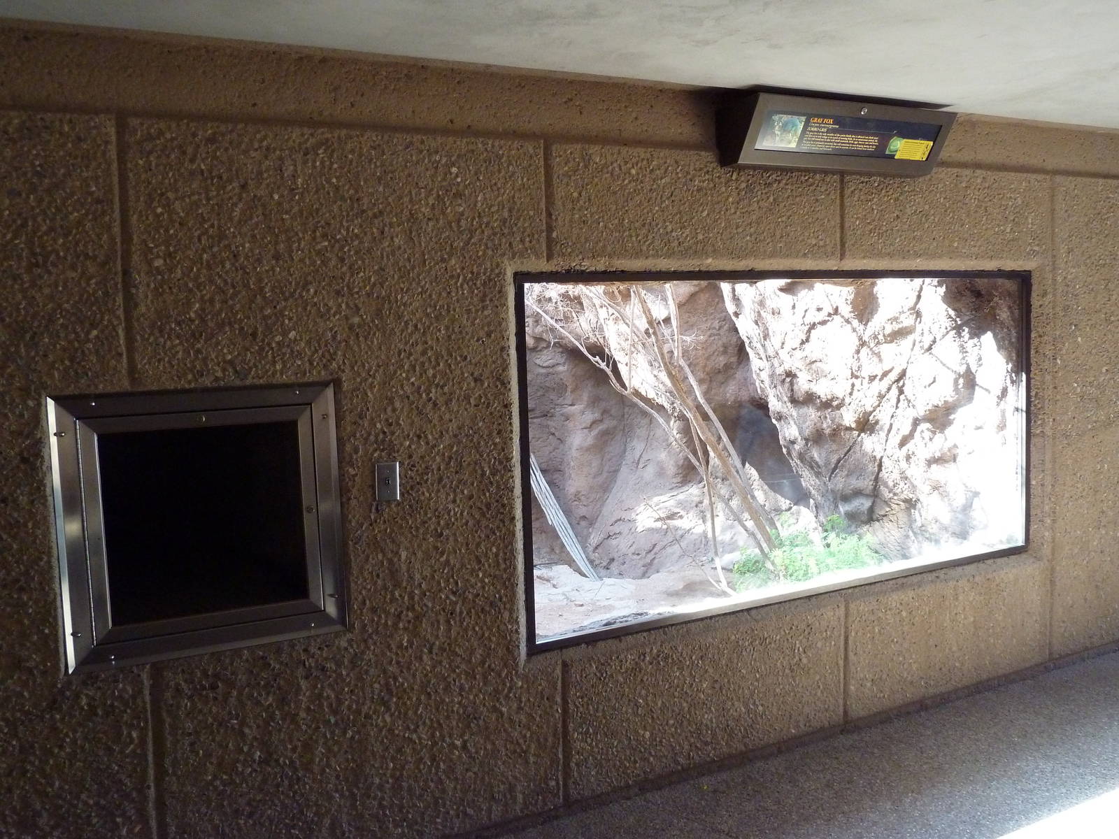 Cat Canyon - Gray Fox Exhibit