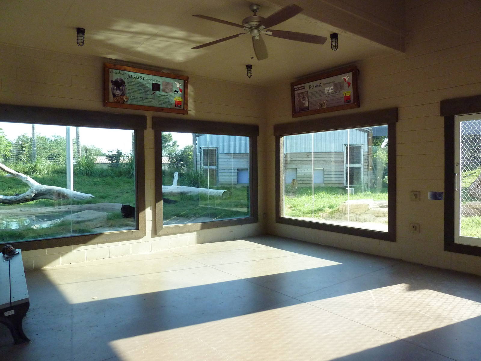 Cat Canyon - Jaguar + Cougar Exhibits