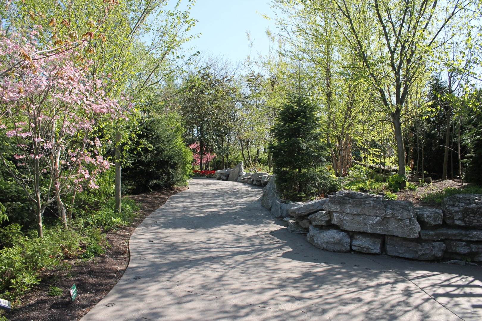 Cat Canyon/Night Hunters Pathway