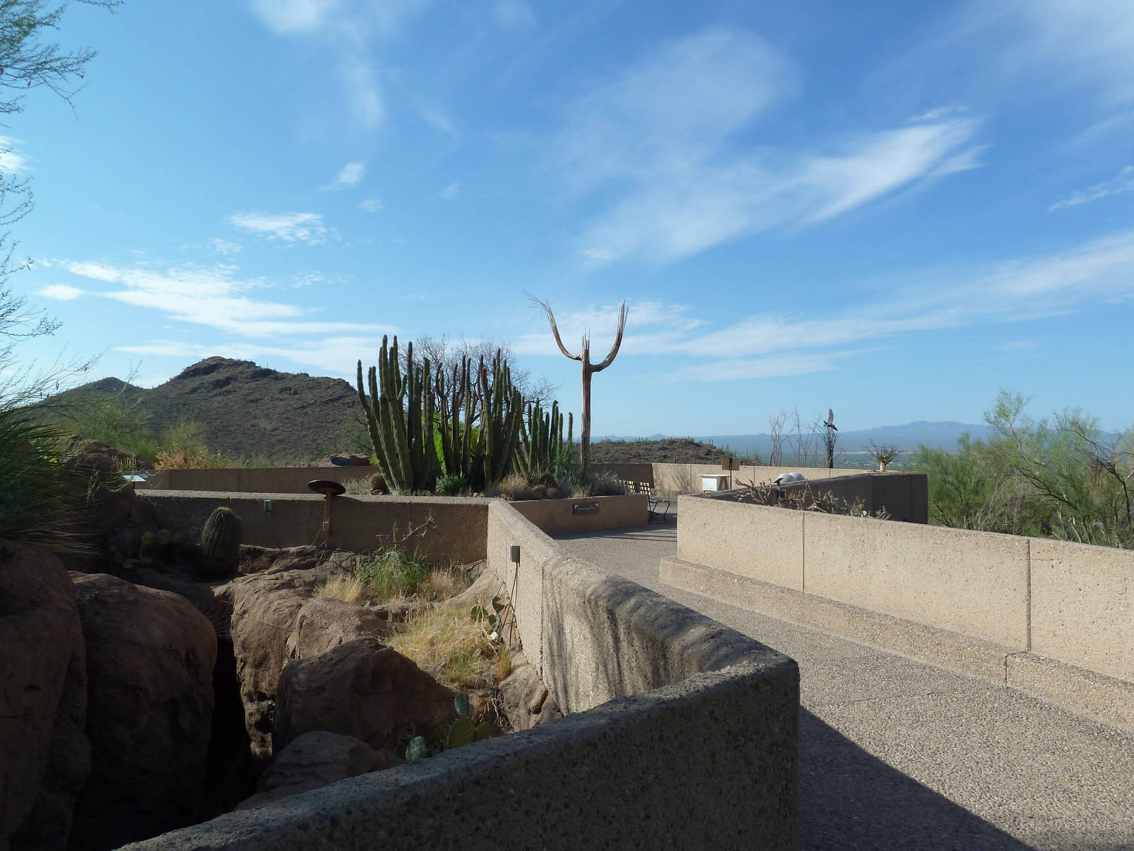 Cat Canyon - Overview