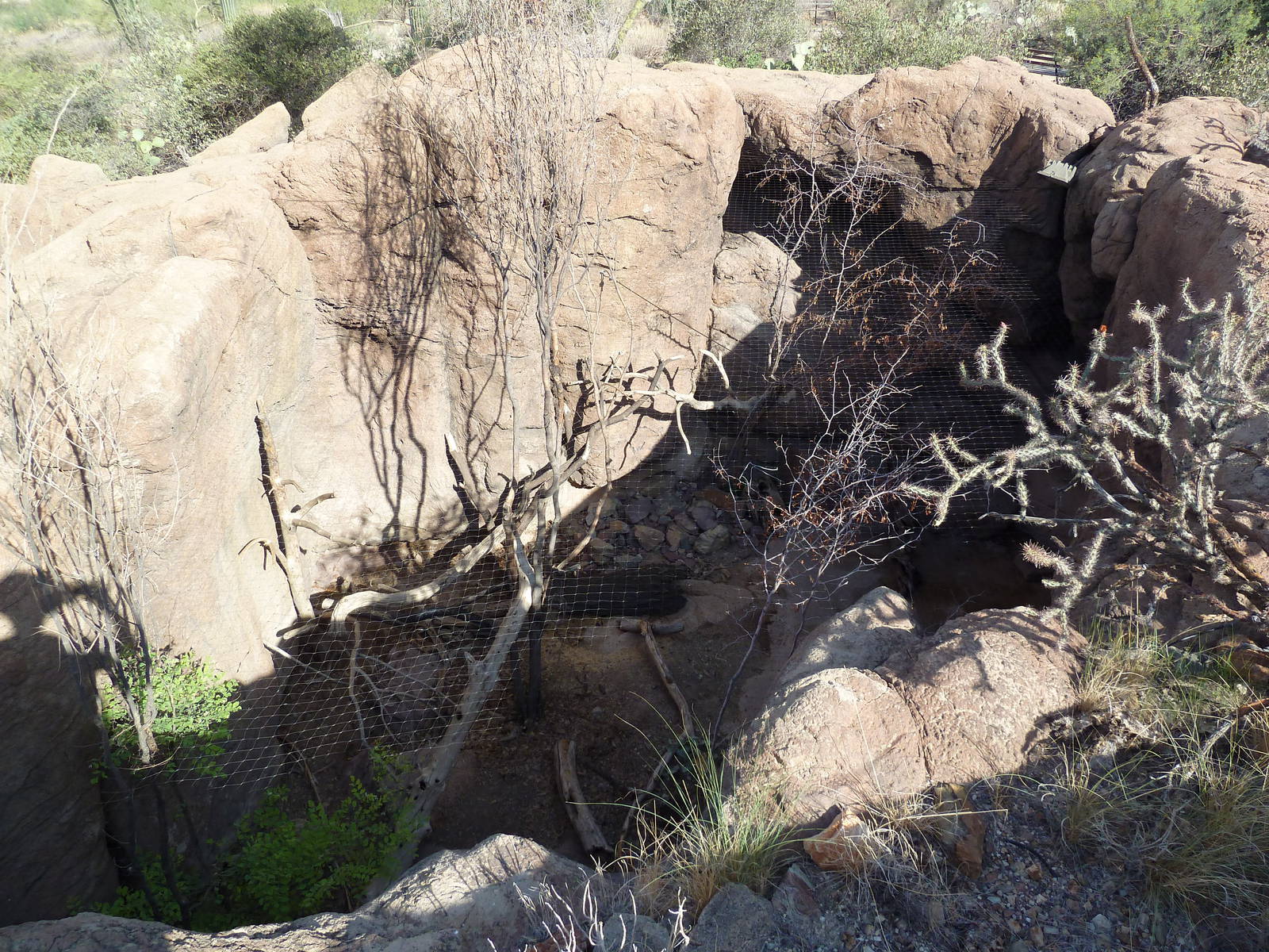 Cat Canyon - Porcupine Exhibit
