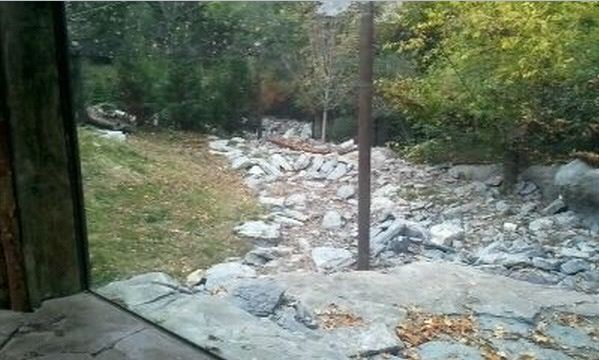 Cat Canyon-Snow Leopard exhibit