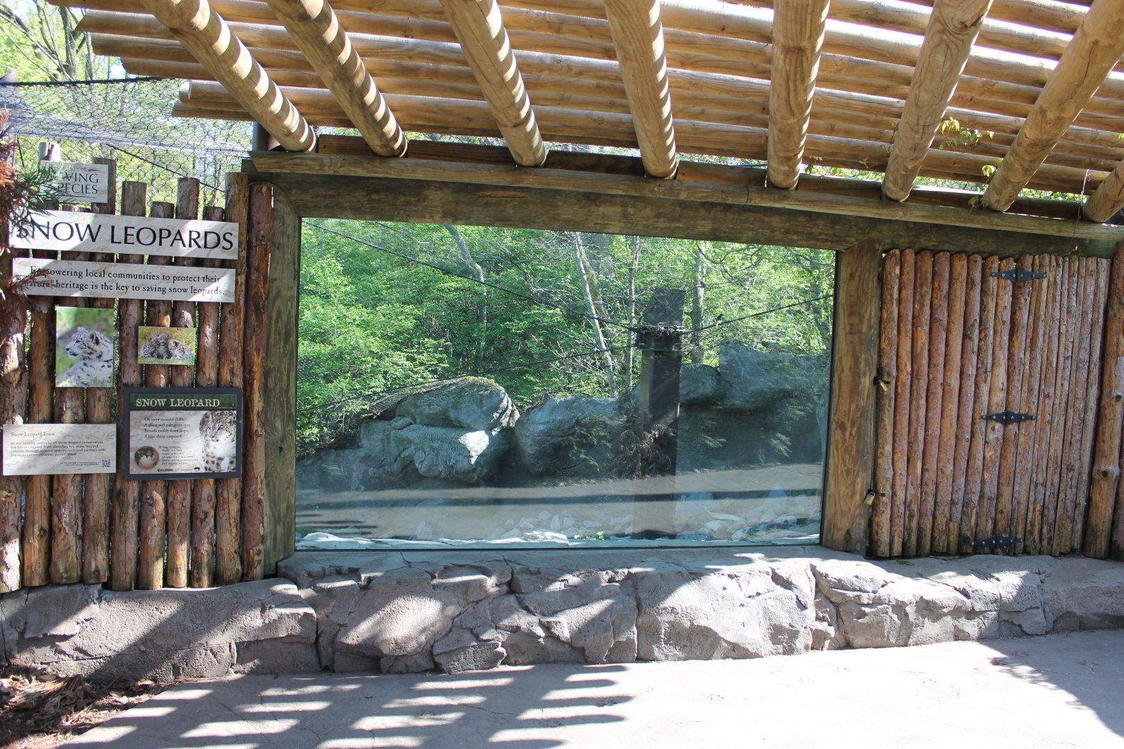 Cat Canyon- Snow Leopard Viewing