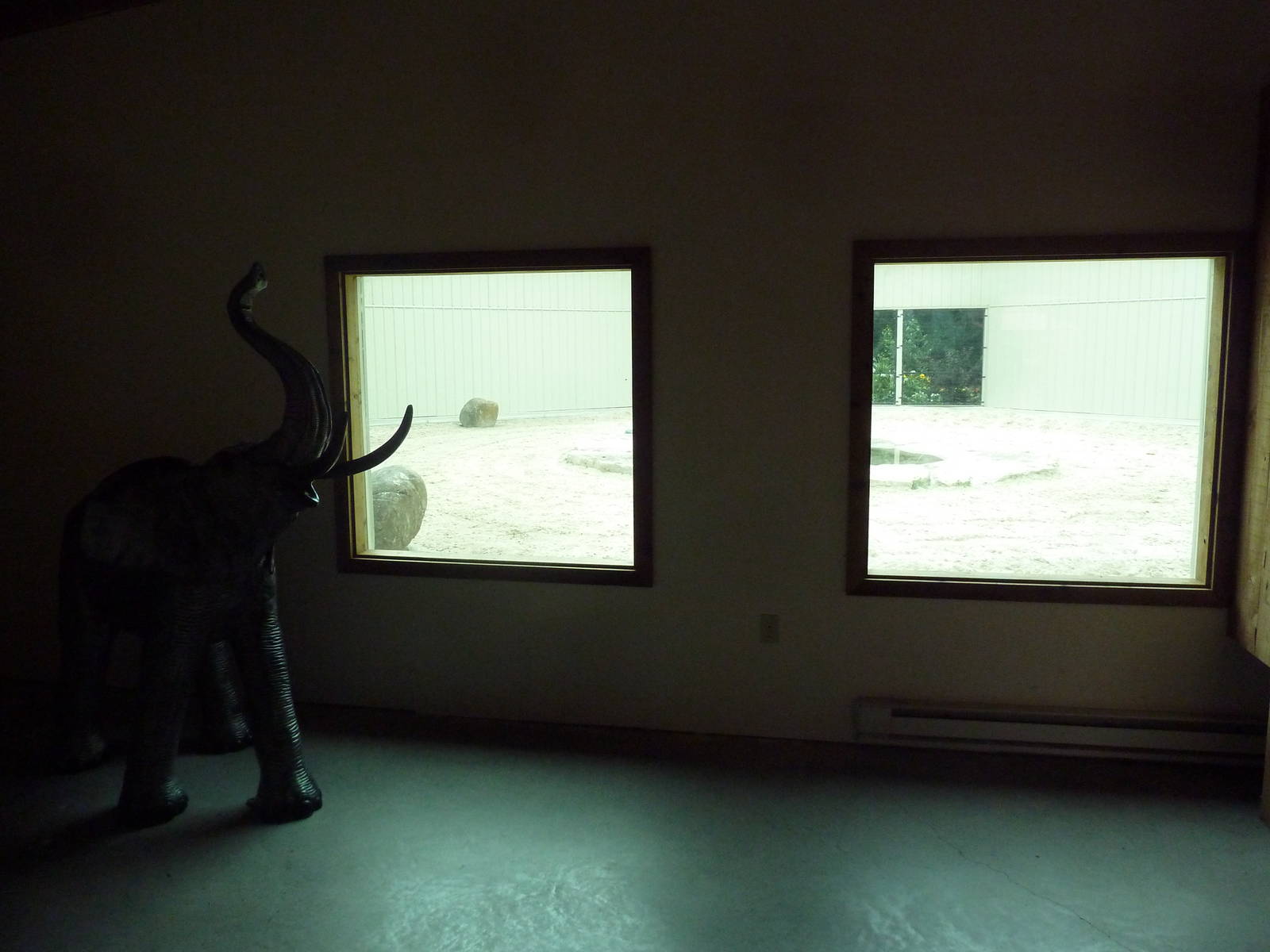 Cat Complex - Bengal Tiger Exhibit Indoor Viewing Area