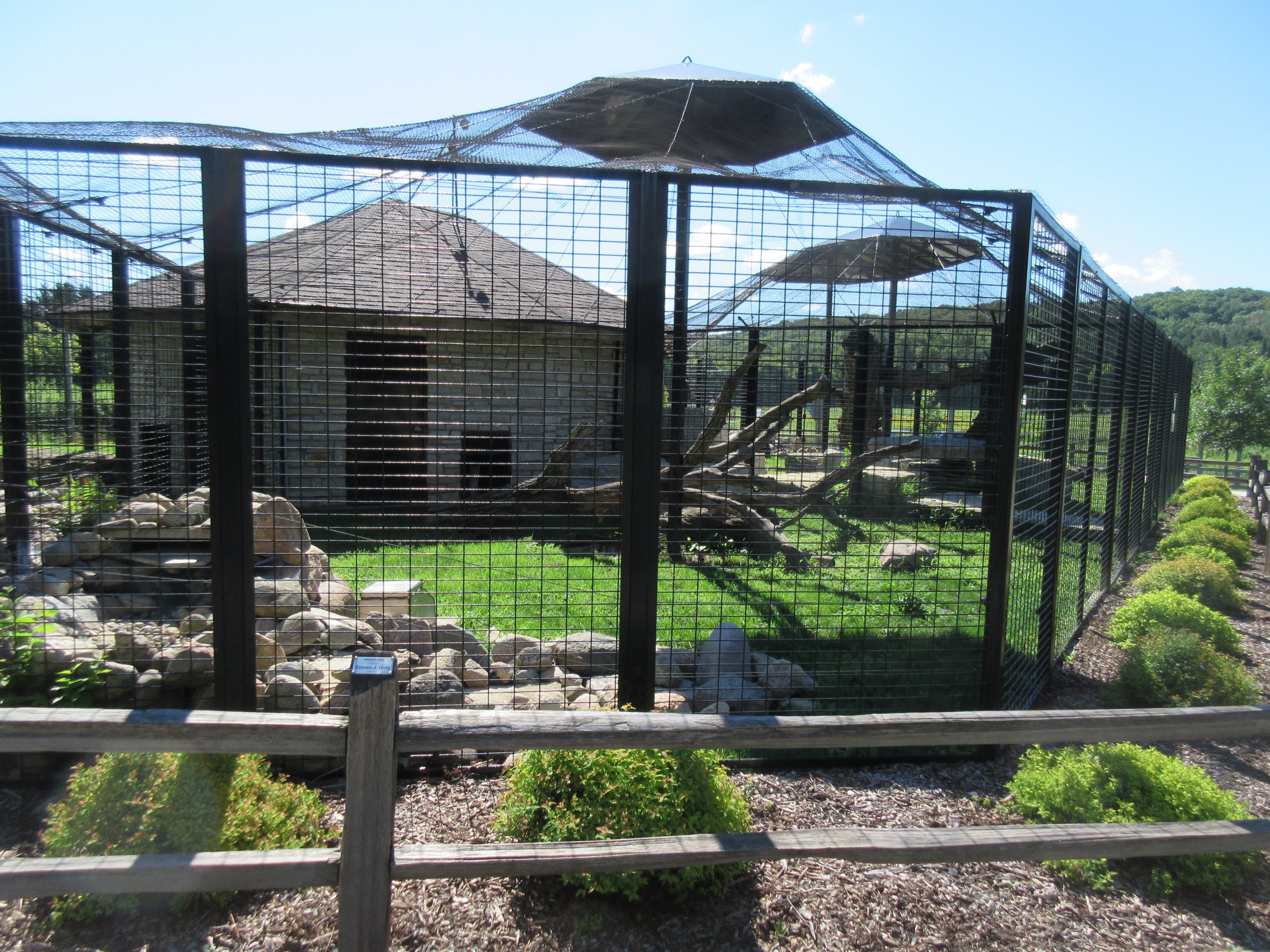 Cat Complex: Bobcat Exhibit