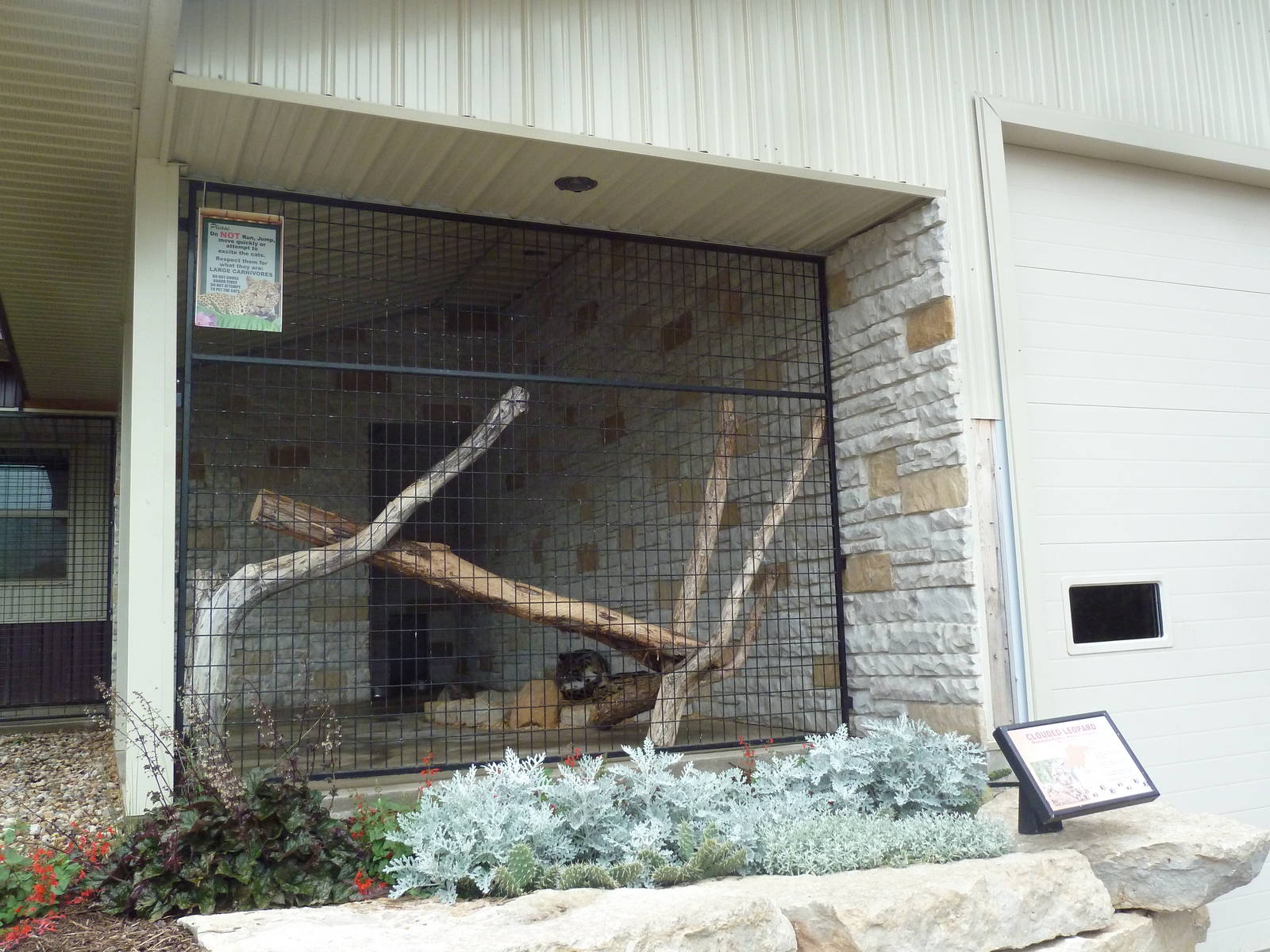 Cat Complex - Clouded Leopard Exhibit