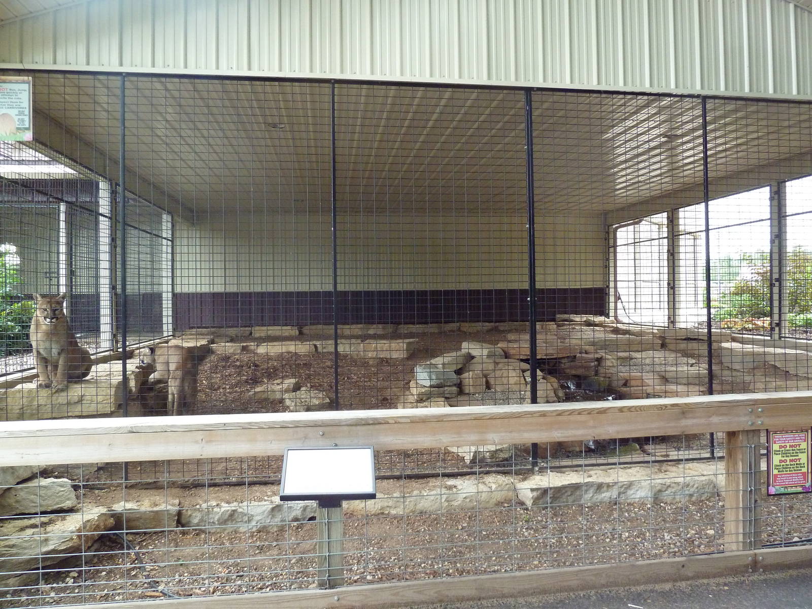 Cat Complex - Cougar Exhibit