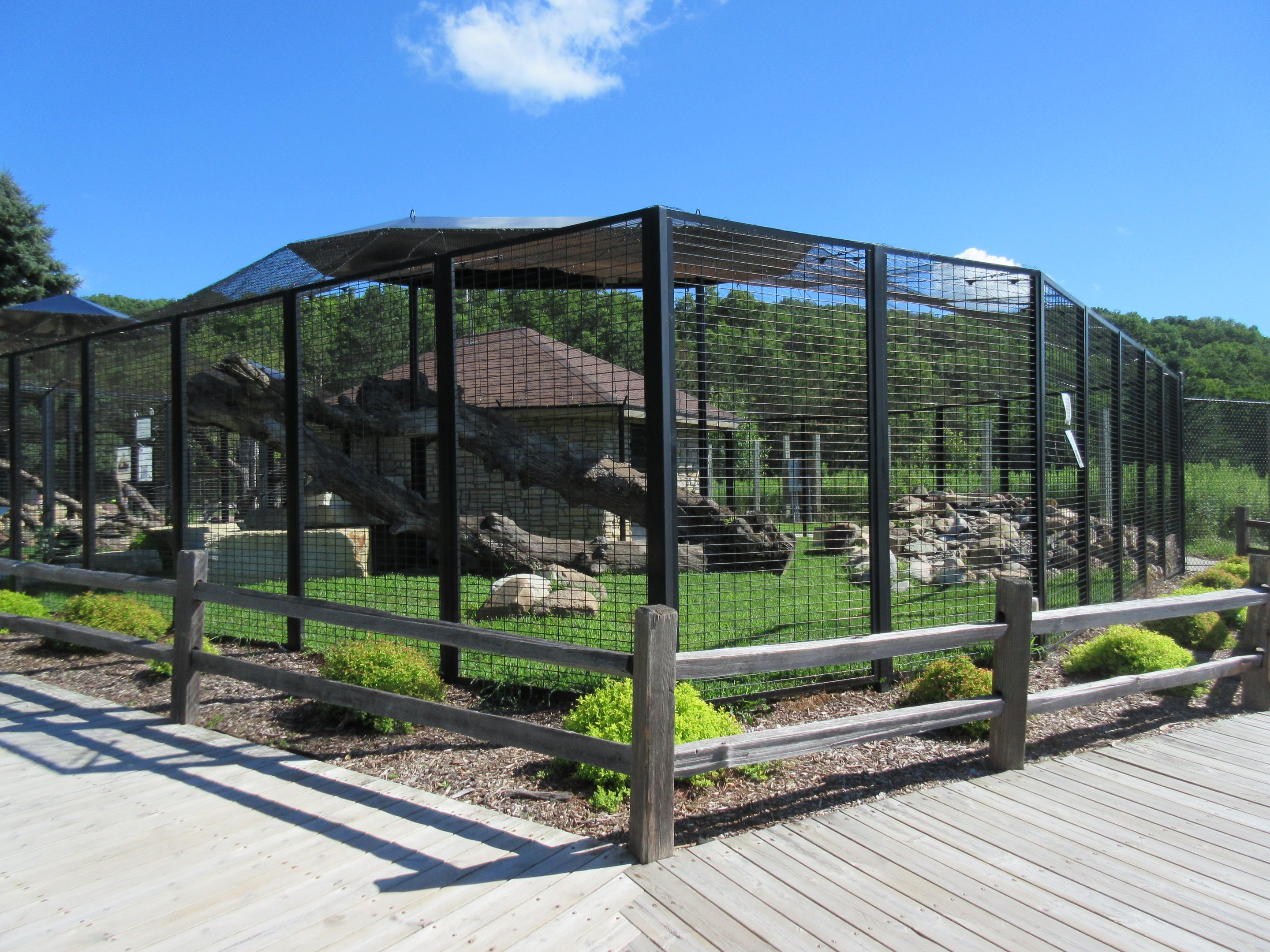 Cat Complex: Cougar Exhibit