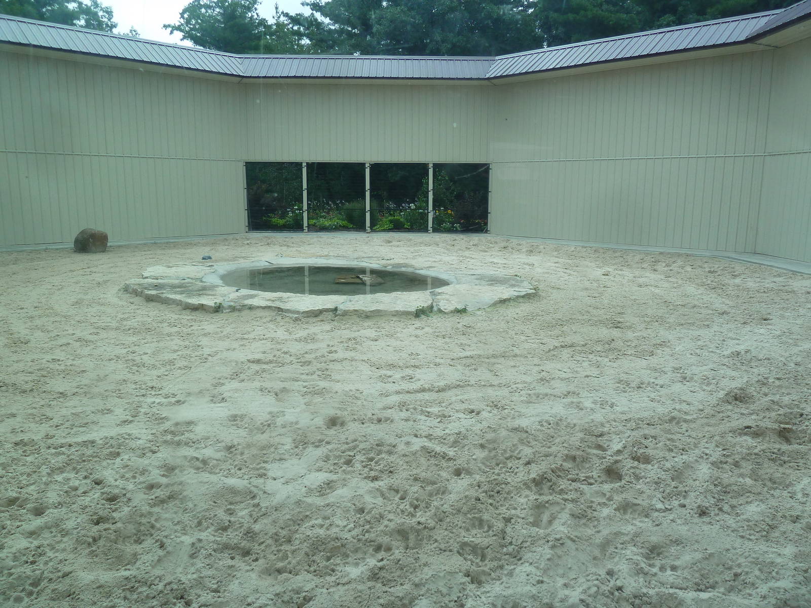 Cat Complex - Desert Bengal Tiger Exhibit