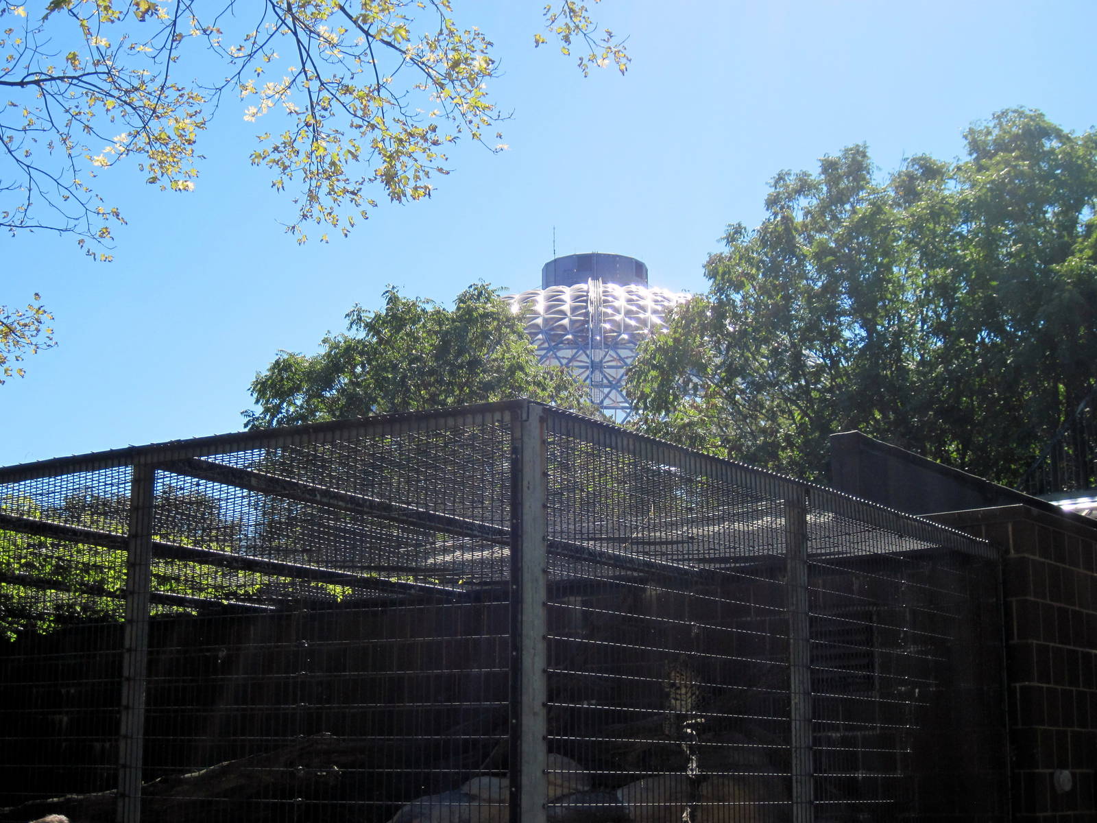 Cat Complex/Desert Dome