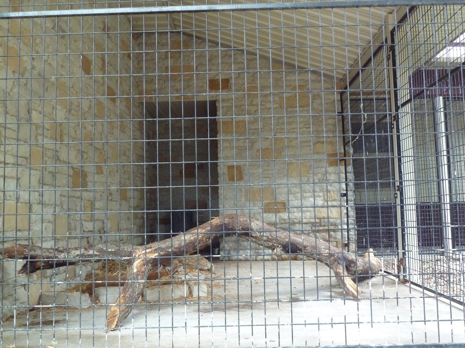 Cat Complex - Siberian Lynx Exhibit