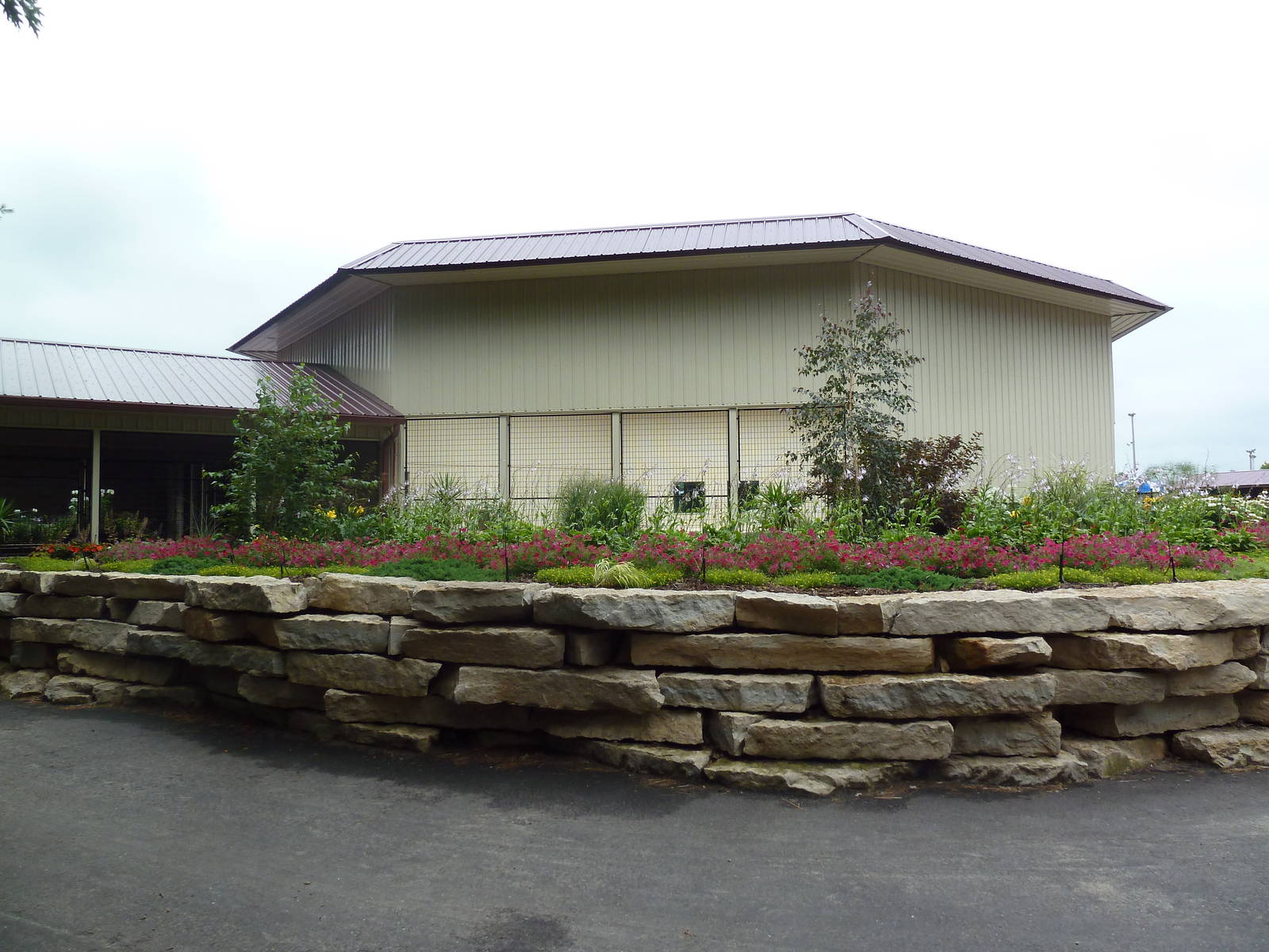 Cat Complex - Surrounding Rockwork