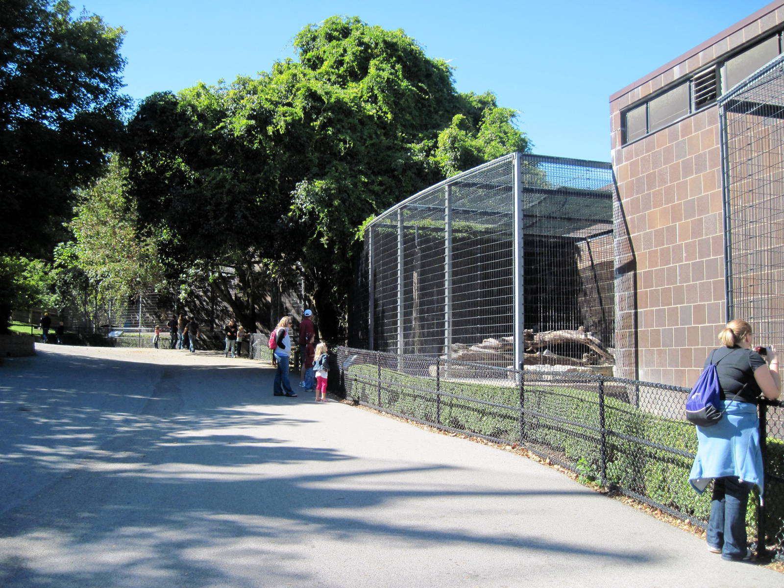 Cat Complex-Tiger Exhibit