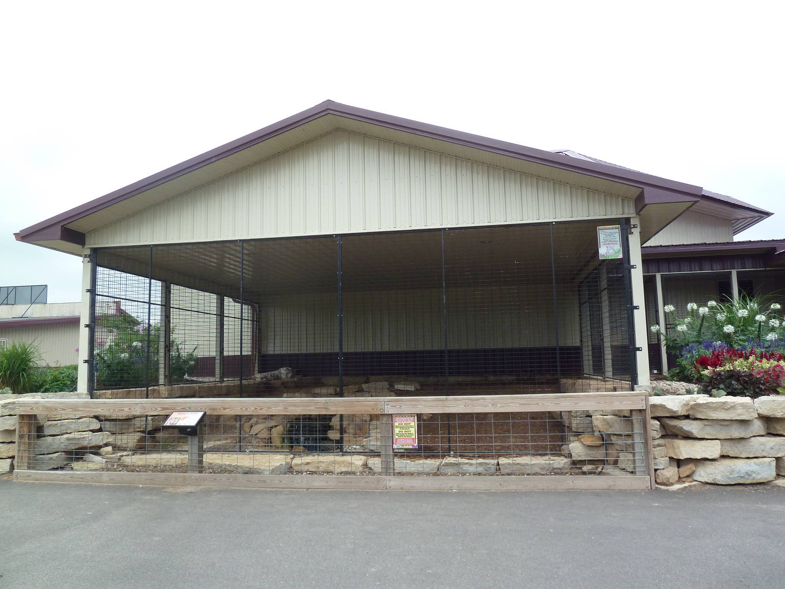 Cat Complex - White Bengal Tiger Exhibit