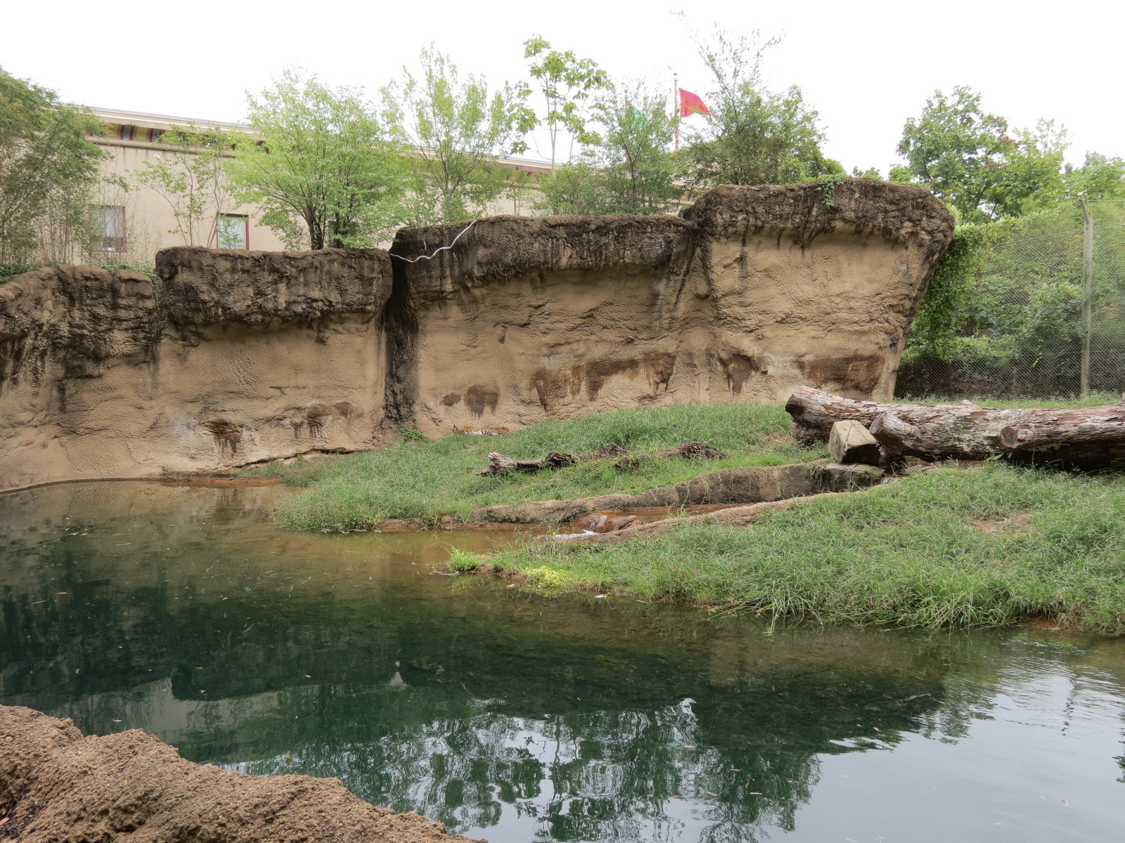 Cat Country - Bengal Tiger Exhibit