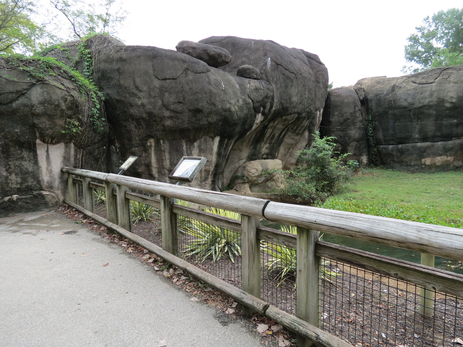 Cat Country - Cheetah Exhibit