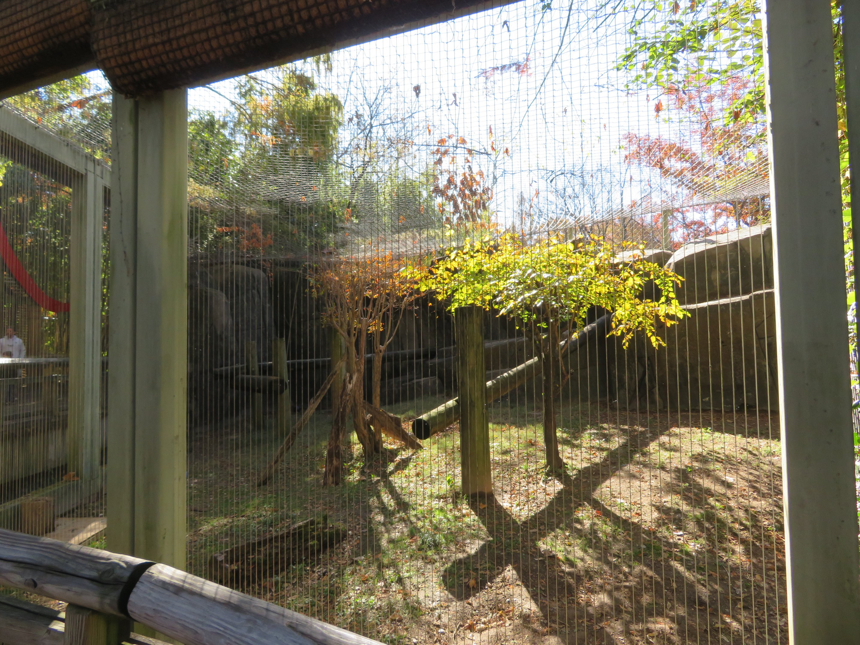 Cat Country - Example Cat Exhibit