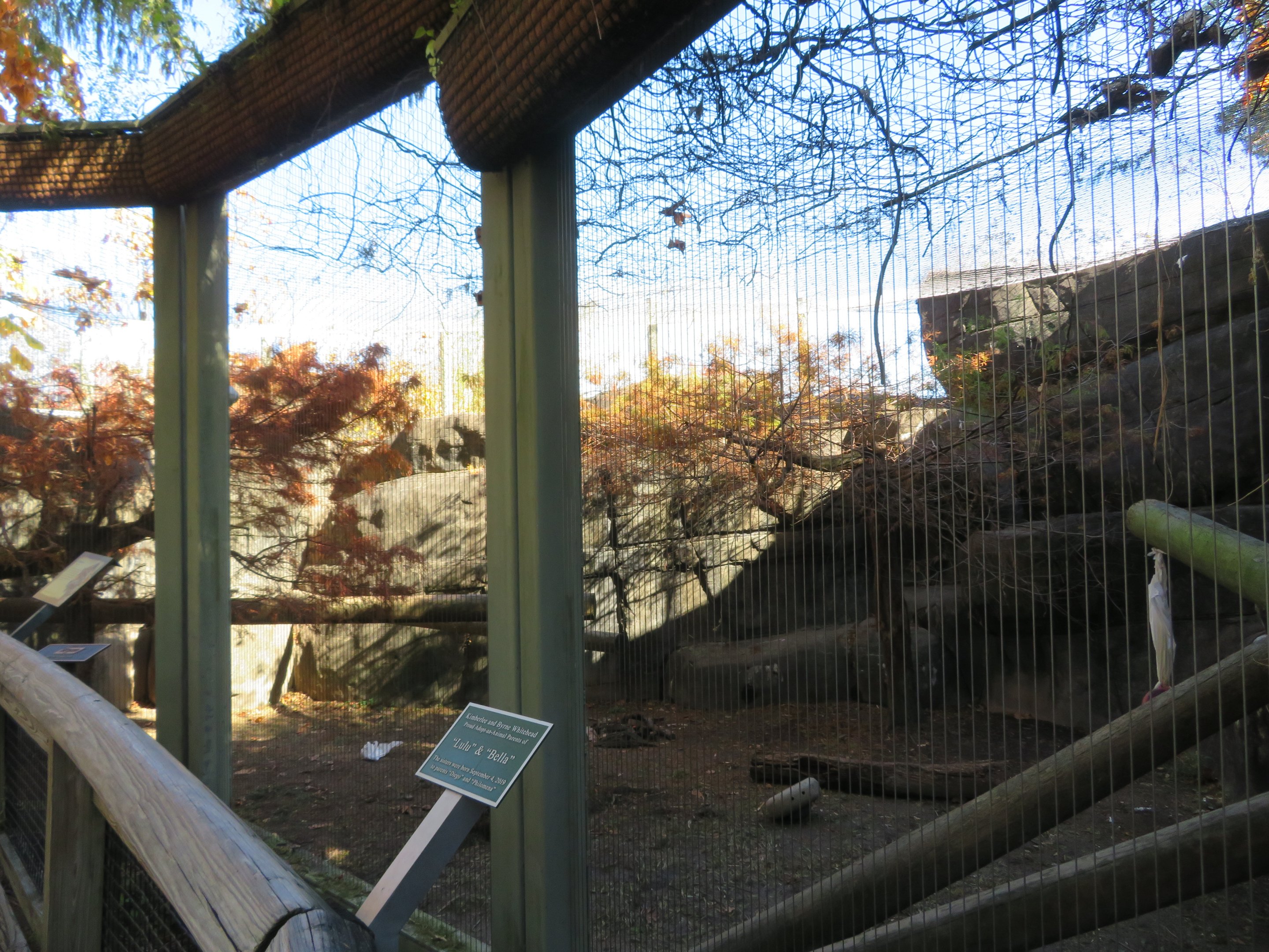 Cat Country - Example Cat Exhibit