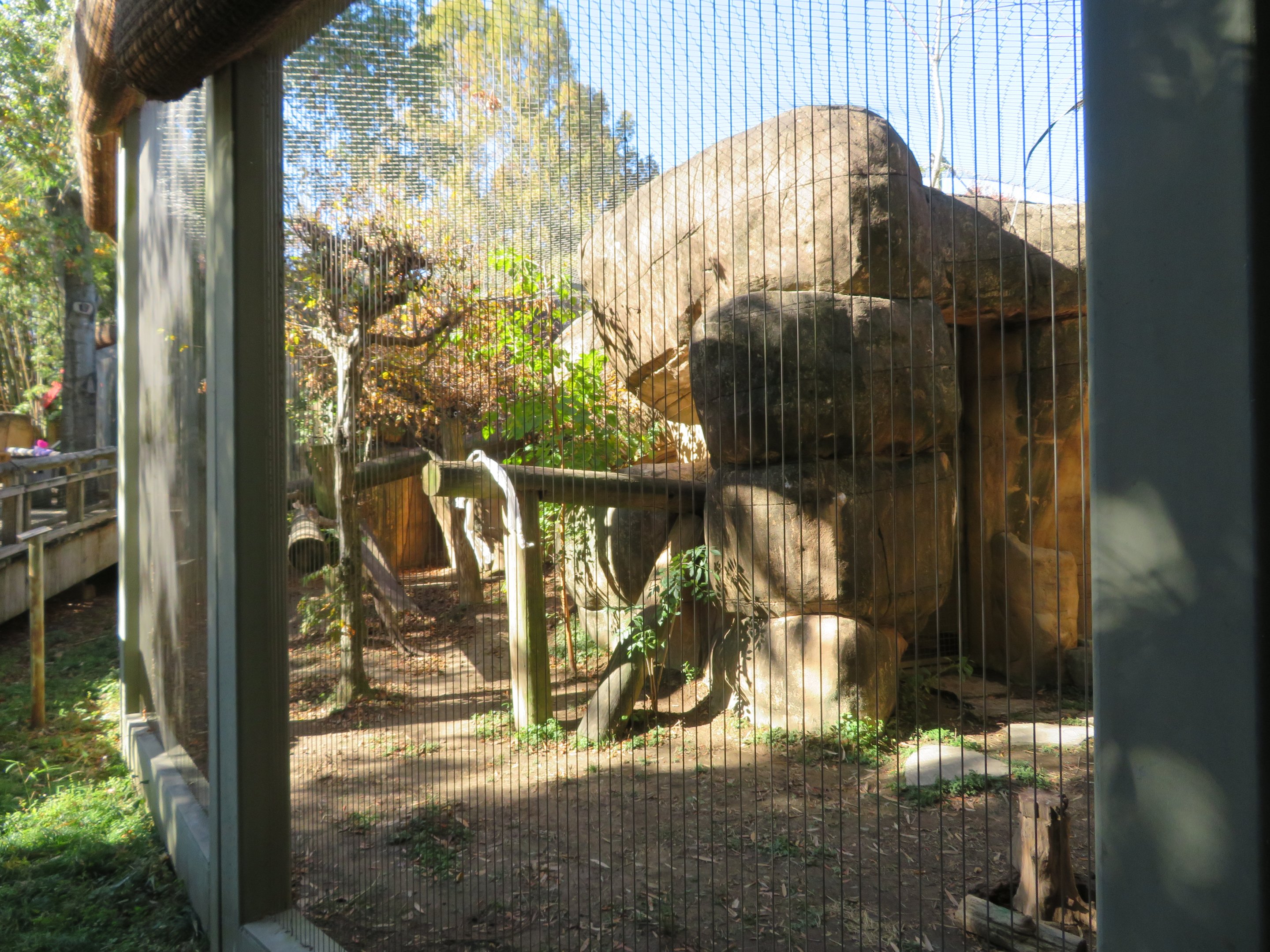 Cat Country - Example Cat Exhibit