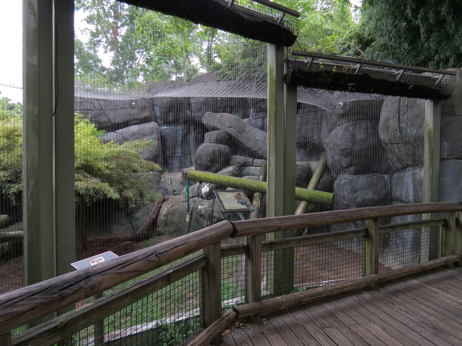 Cat Country - Jaguar Exhibit