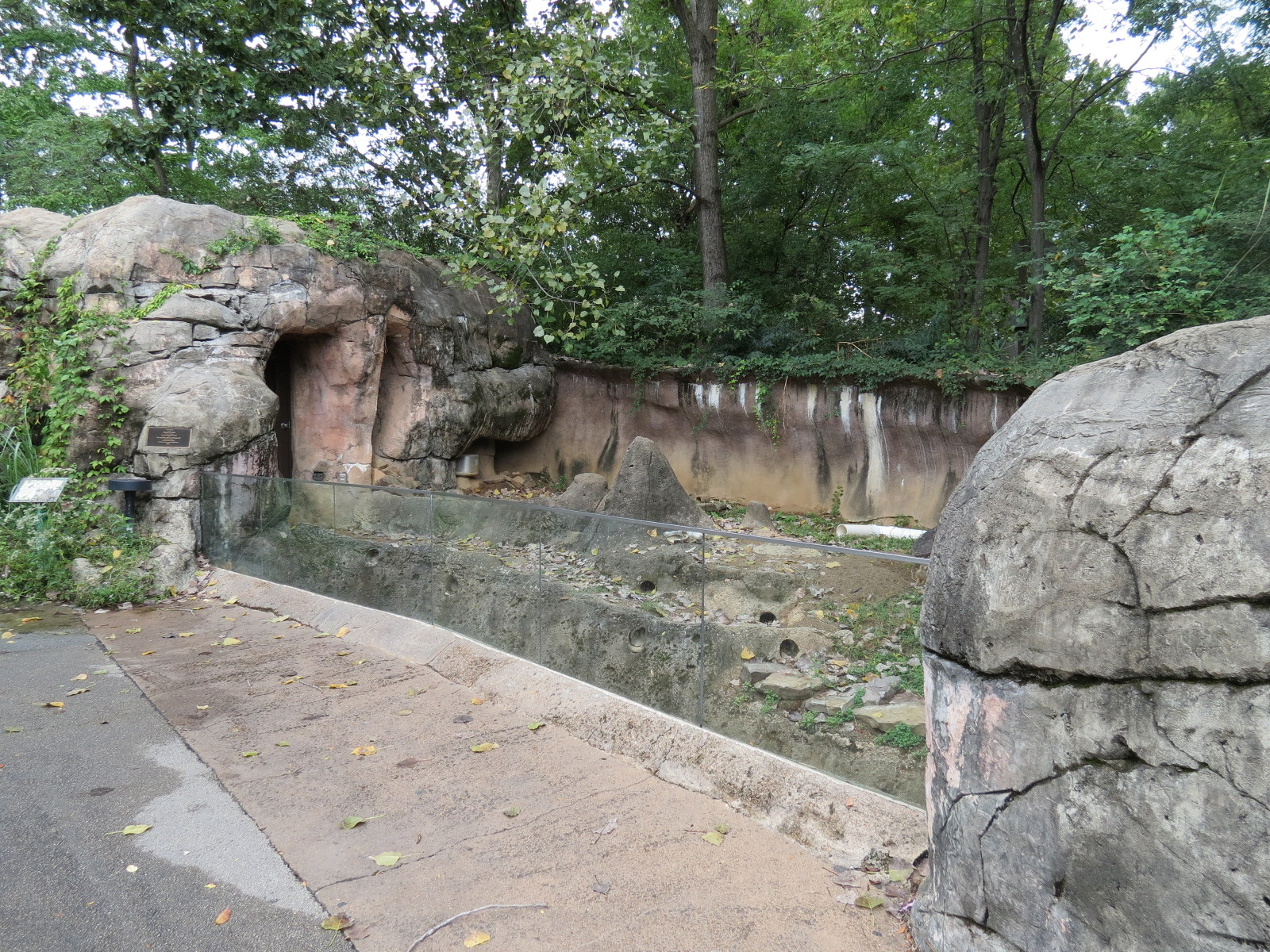 Cat Country - Meerkat Exhibit