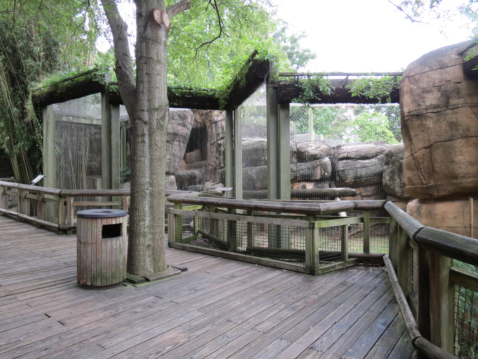 Cat Country - Puma Exhibit