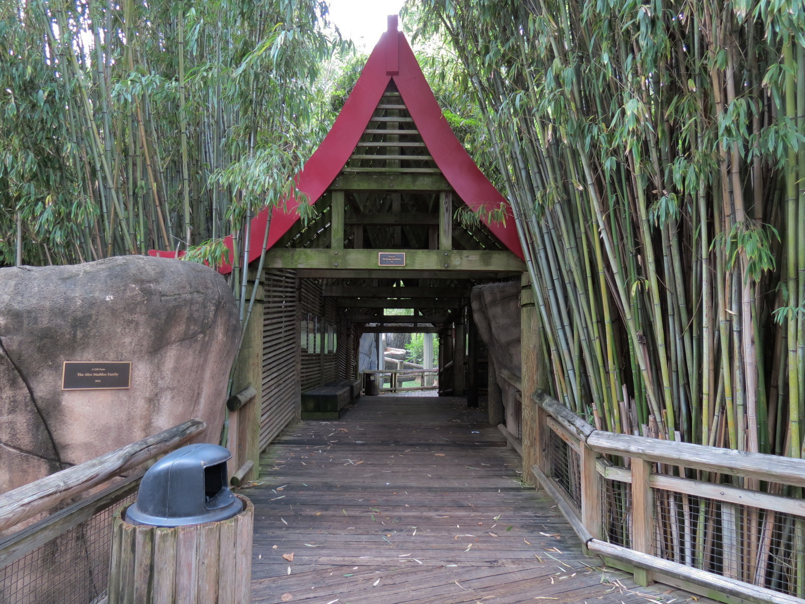 Cat Country - Walkway