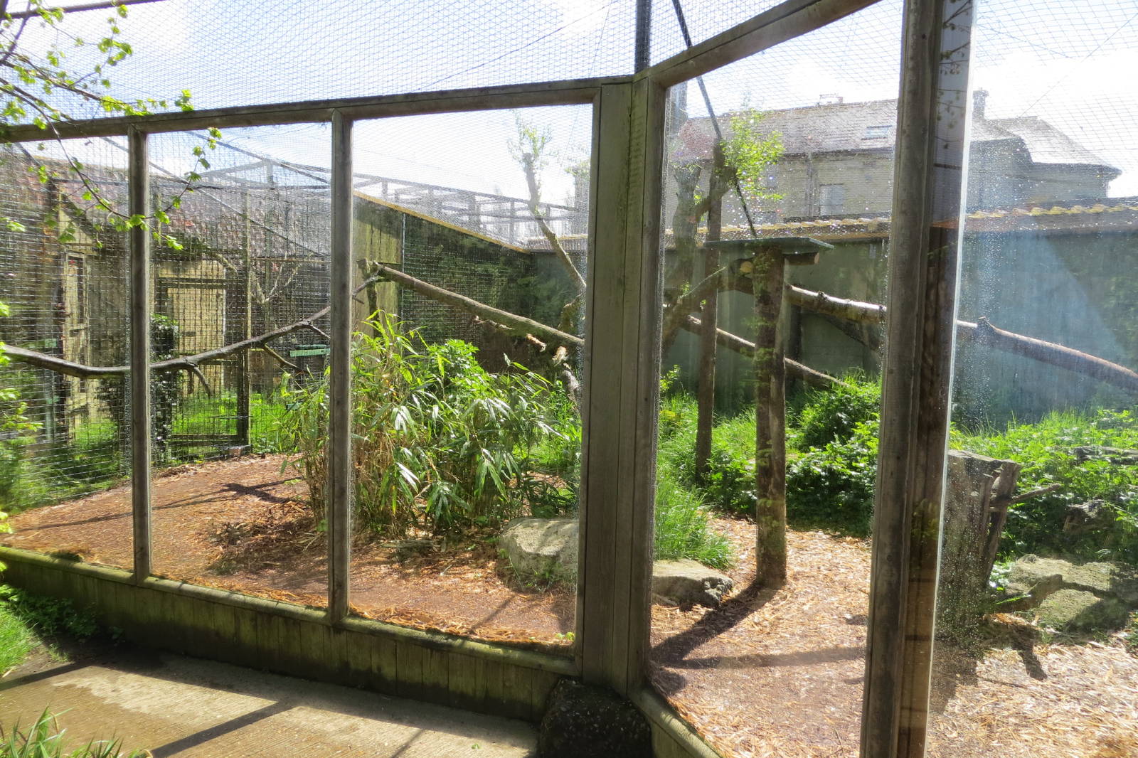 Cat Enclosure 060515