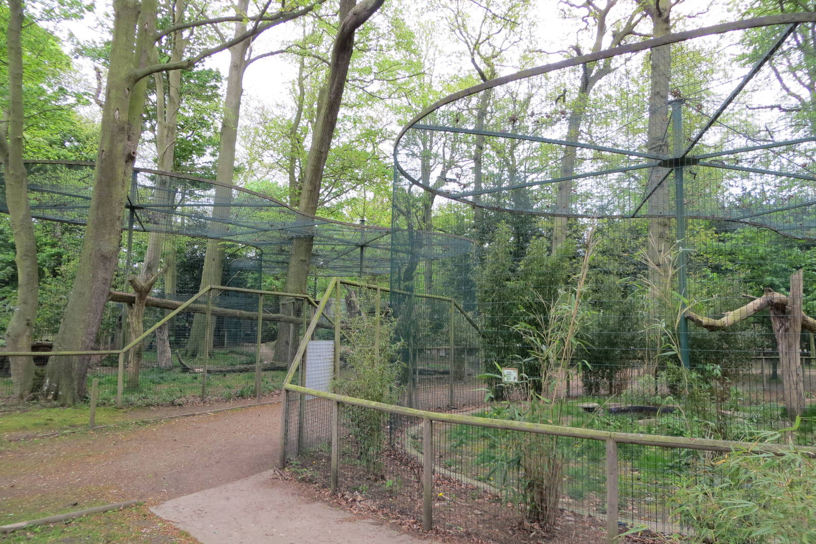 Cat Enclosures 070515