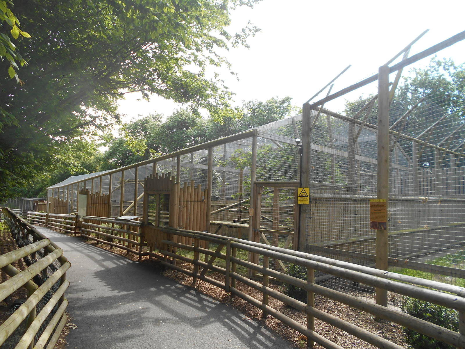 Cat enclosures - 10/06/2016