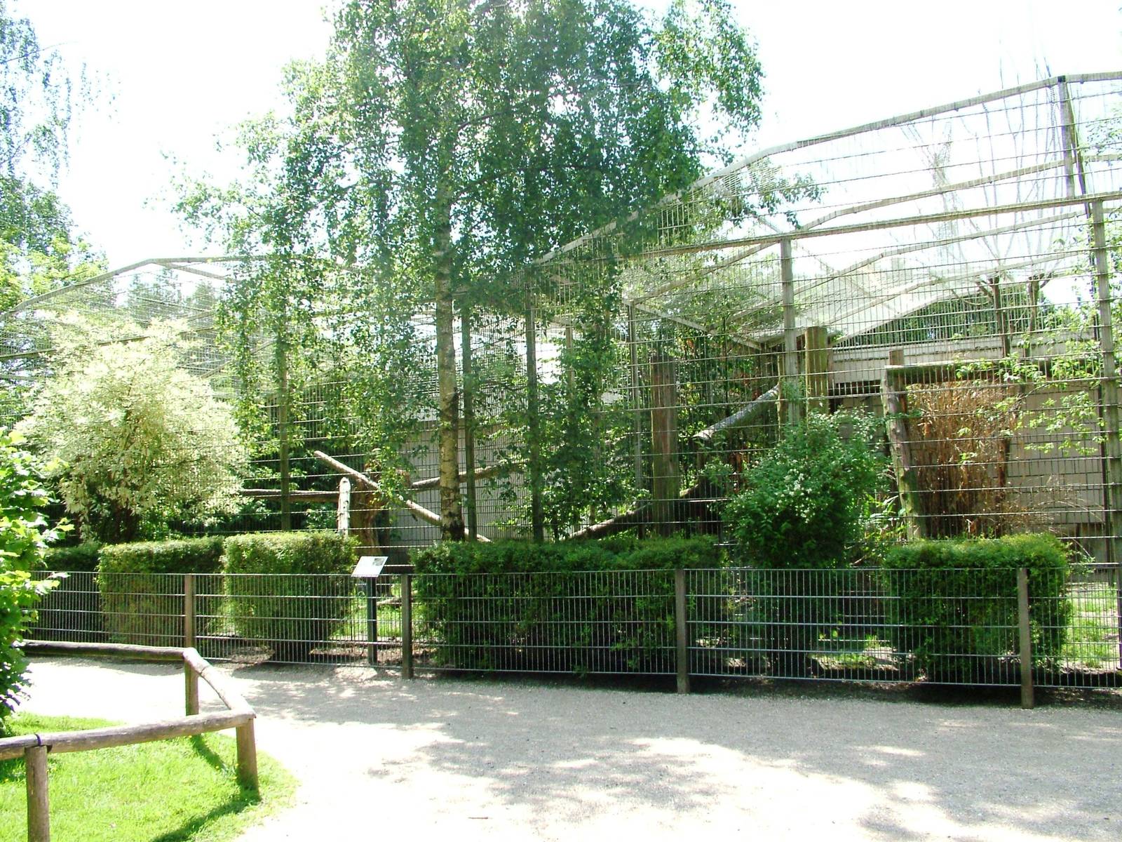 Cat Enclosures at Best, 02/06/12