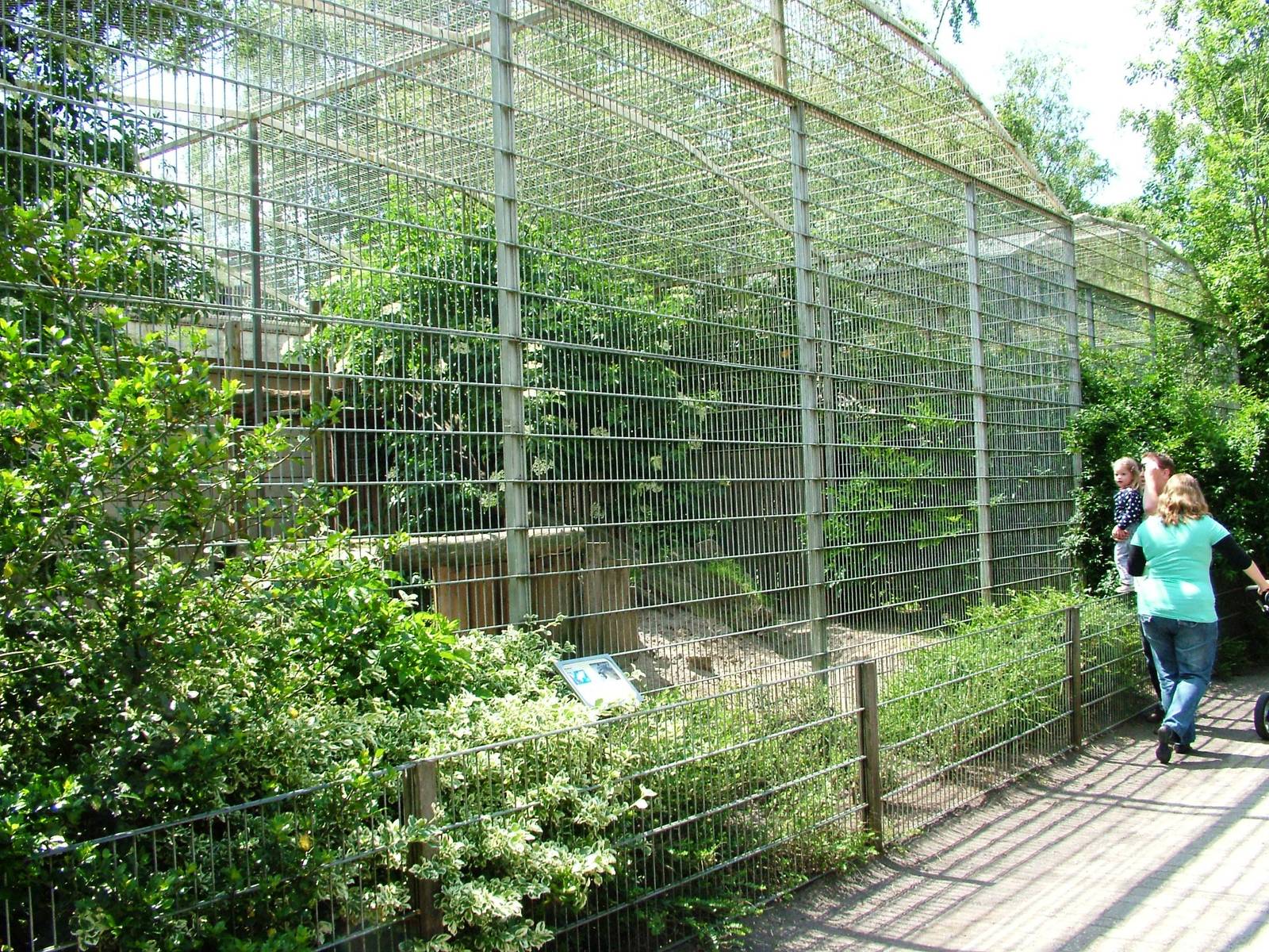 Cat Enclosures at Best, 02/06/12